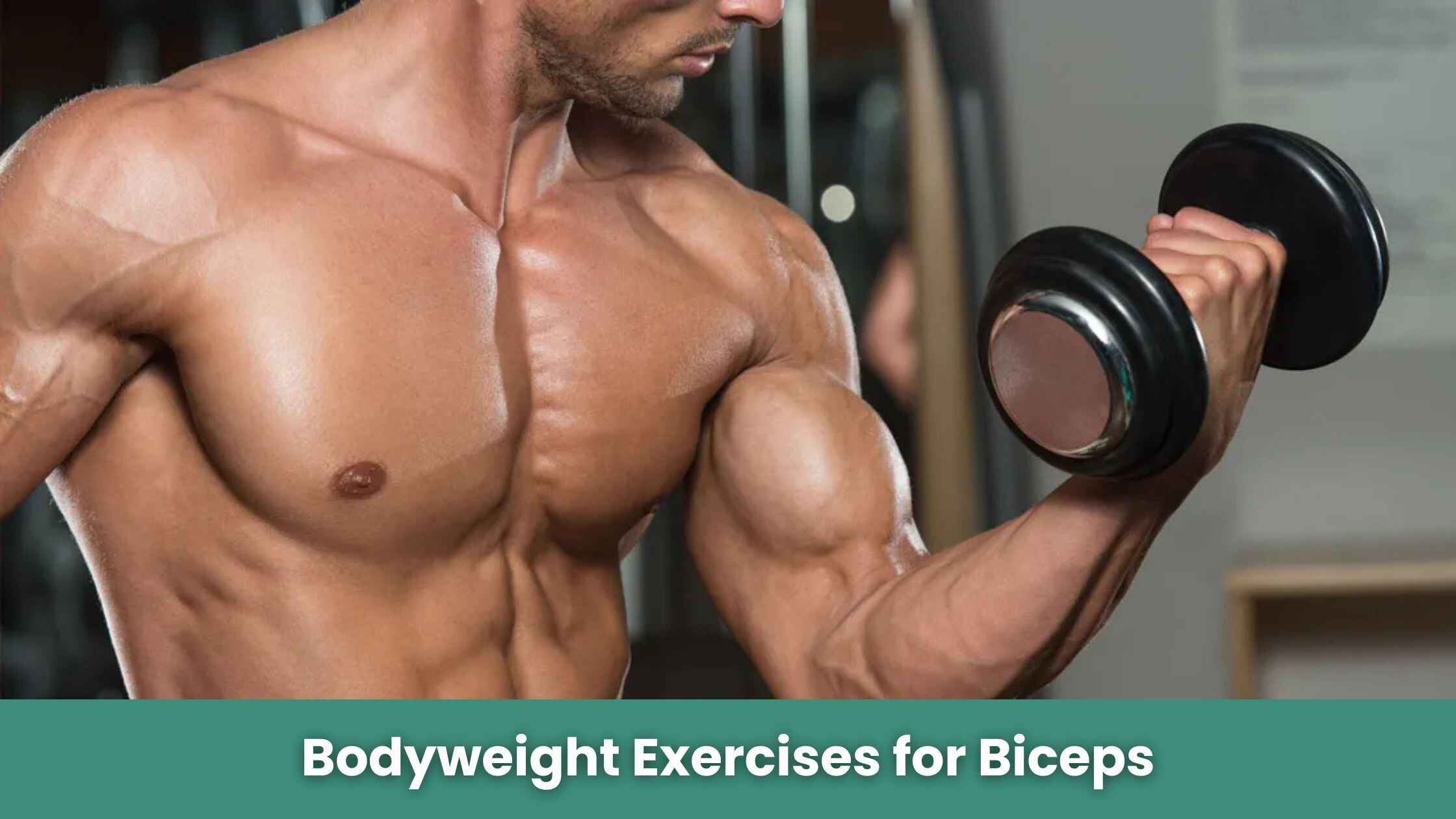 Bodyweight Exercises for Biceps